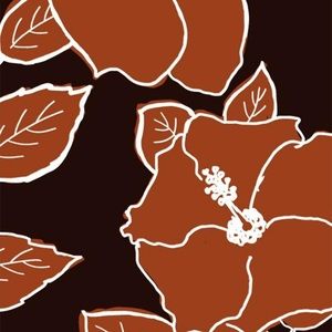 ISO acacia mid pac top